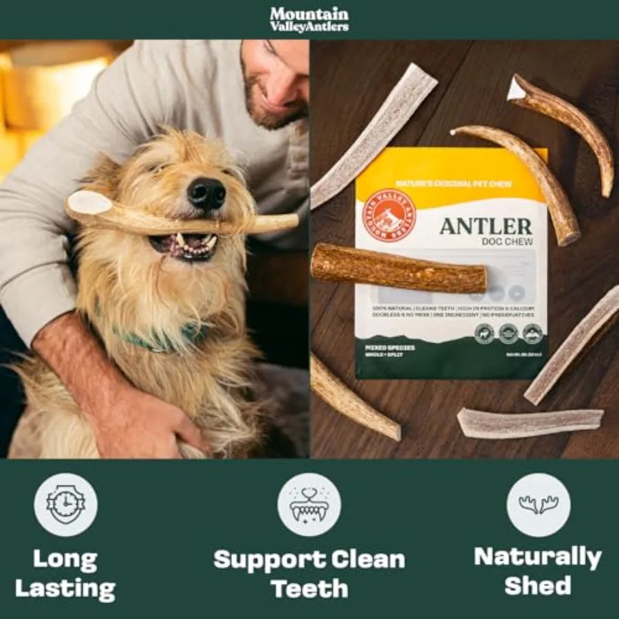 YAO HUI HUANG Mountain Valley Mixed Species Antlers for Dogs