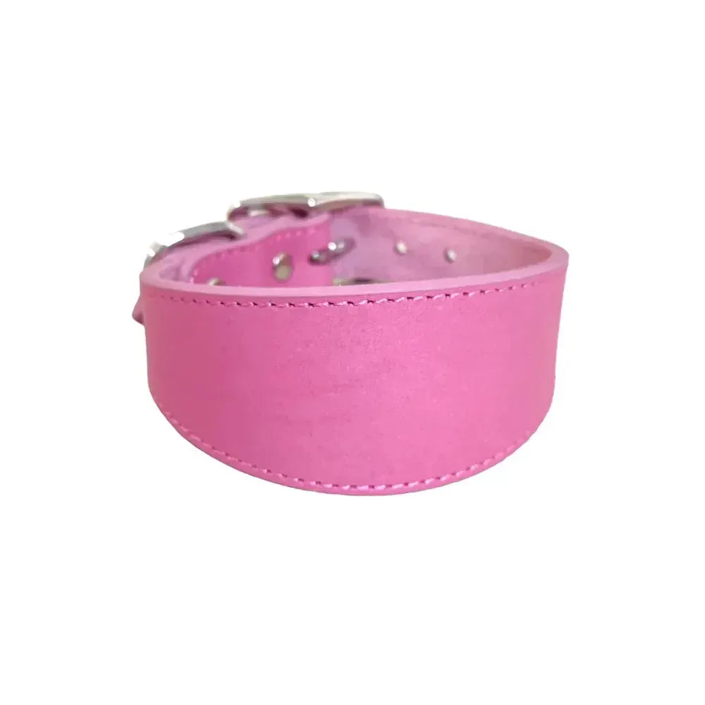 Simple and Adjustable Real Leather Greyhound Collar Wide Huibit Collar Adjustable for Small and Medium Dog Collars Pet Supplies by Furtastic Pet Essentials