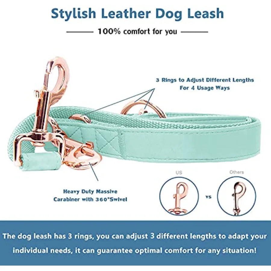 High Concerned Soft Leather Dog Collar and Leash with Buckle