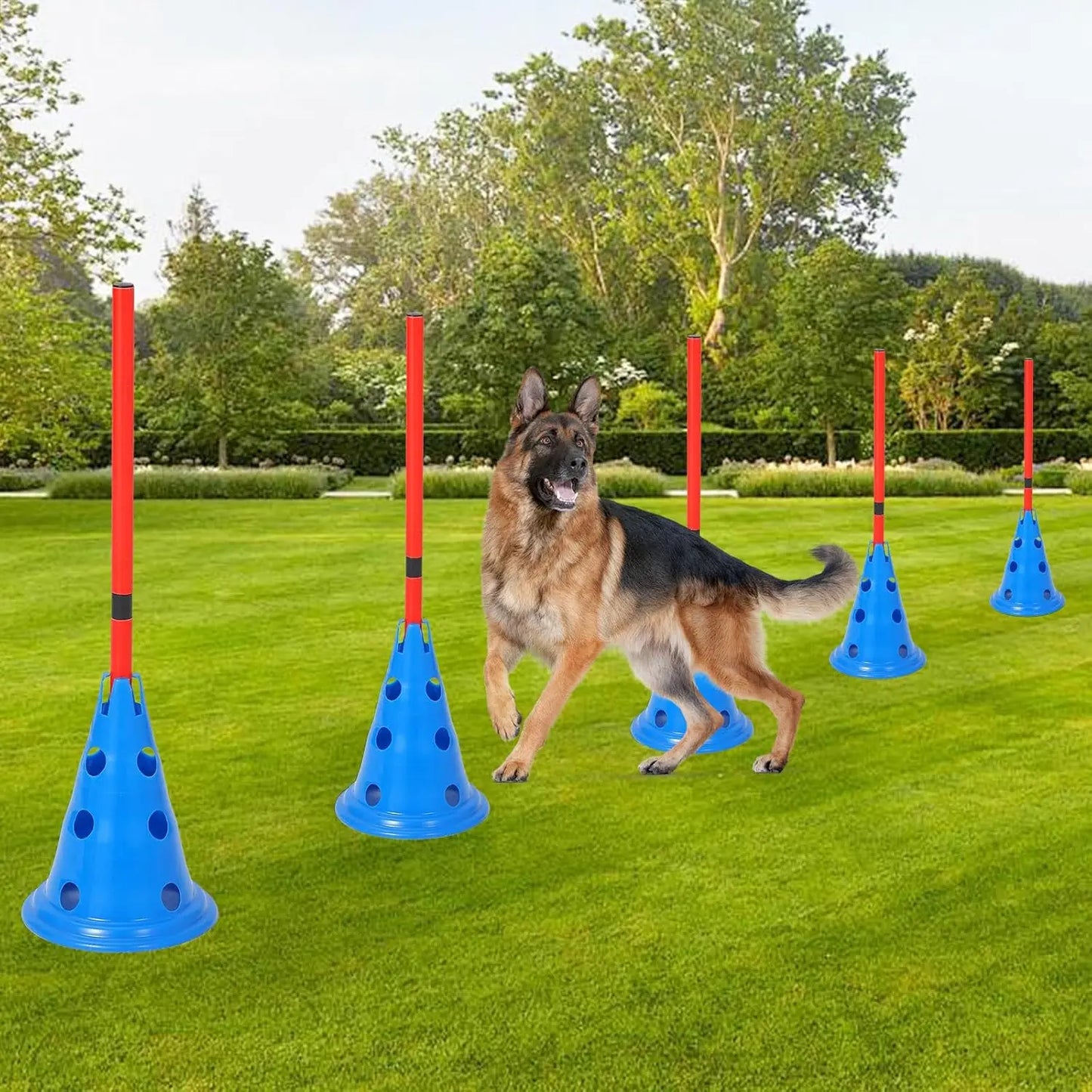 DishyKooker Dog Agility Hurdle Set 12 Cones and 6 Rods