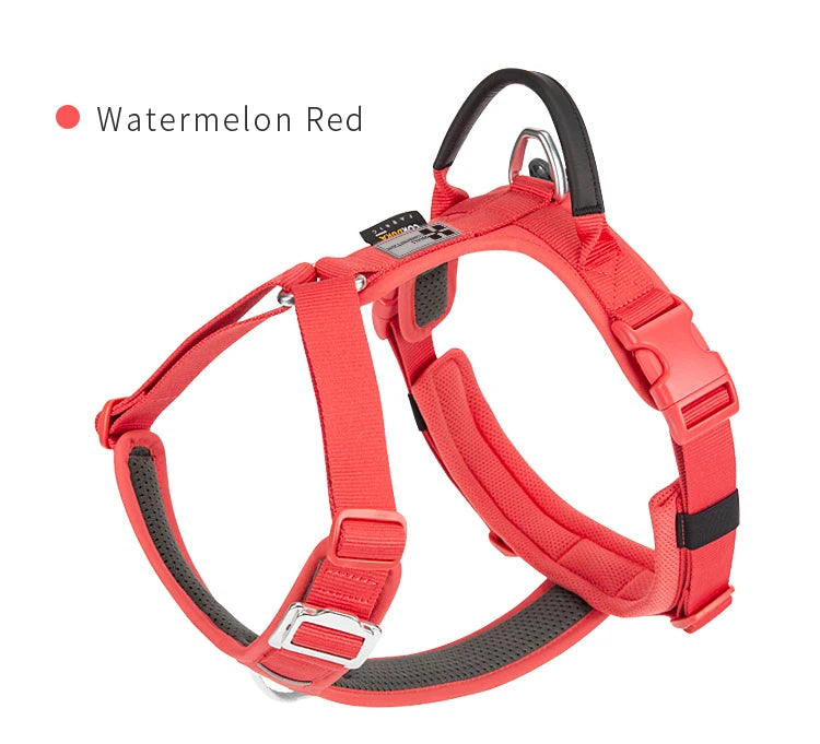 SMALL COMBINATION Reflective No Pull Adjustable Nylon Dog Harness