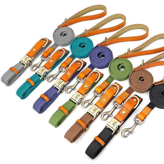 Nylon Custom Dog Collar Leash Set With Free Engraving
