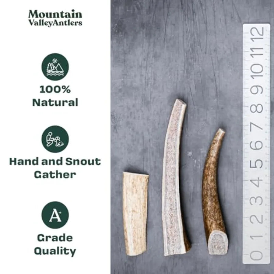 YAO HUI HUANG Mountain Valley Mixed Species Antlers for Dogs