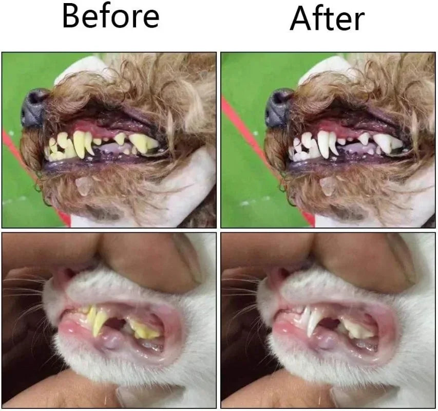 Silicone Fingertip Pet Toothbrush for Dogs and Cats