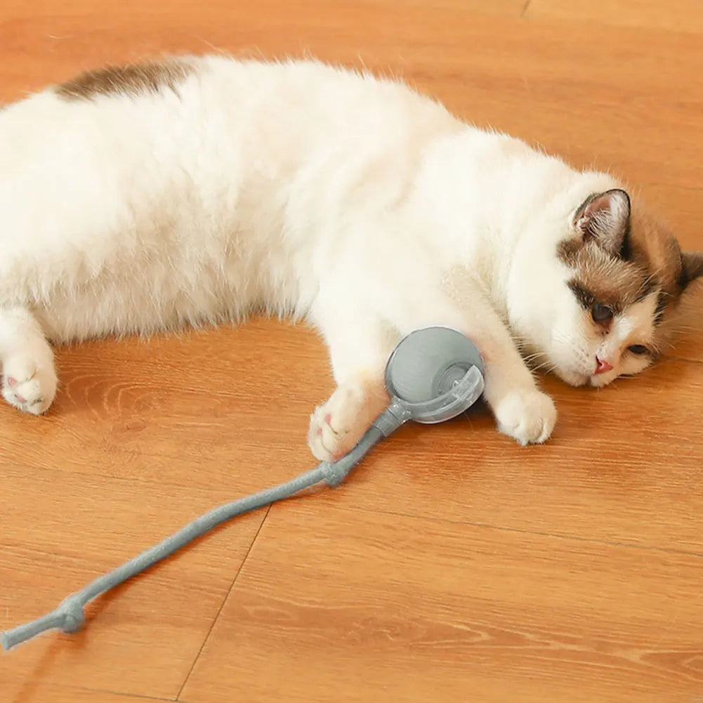 VKTECH Cat Interactive Ball Toy SelfRotating Rechargeable Indoor Cat Toy