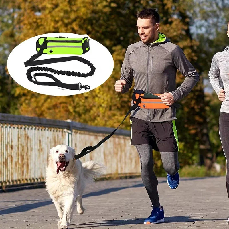 Reflective Hands Free Dog Leash With Retractable Belt Waist Bag