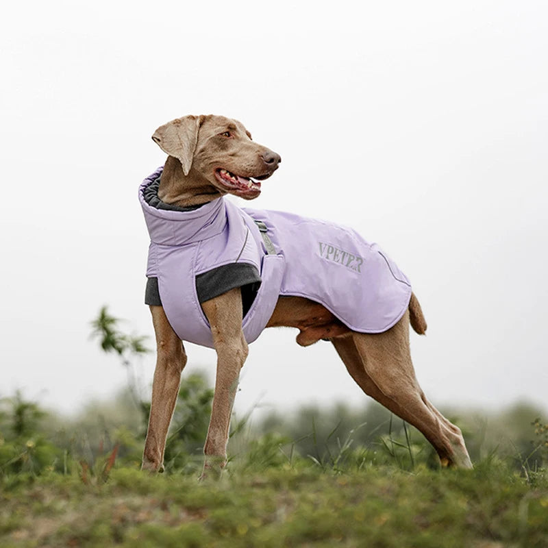 Choice Dog Winter Cotton Coat With Reflective Stripe High Neck