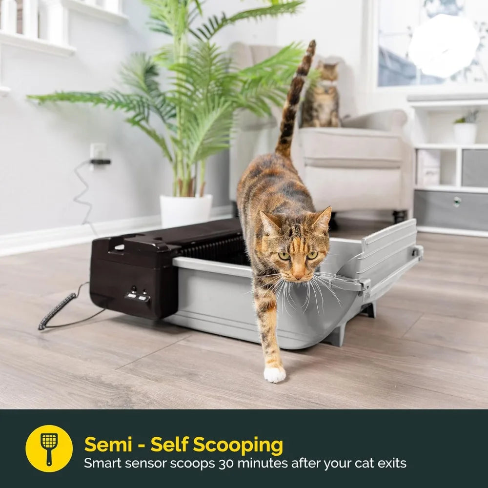 Self Cleaning Semi Automatic Cat Litter Box Smart Scoop For Two Cats