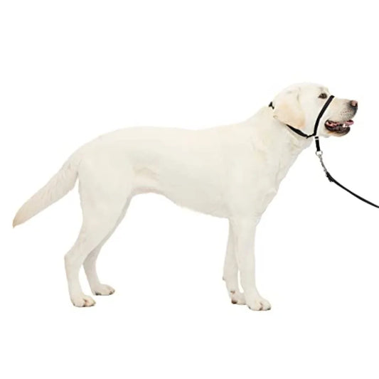 Hign-concerned Gentle Leader Dog Head Collar With Padded Strap