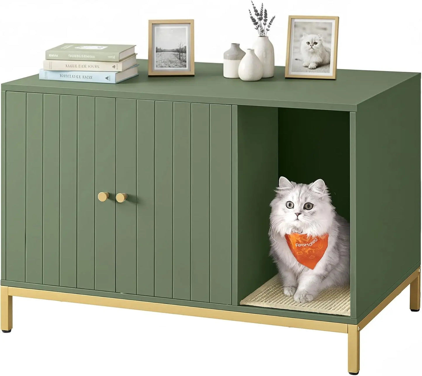 Modern Cat Litter Box Enclosure With Scratching Mat And Table