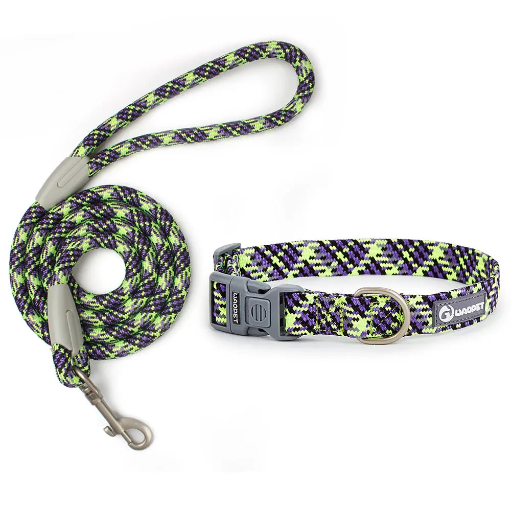 Guangdong Leashes And Collar Set For Dogs Outdoor Use