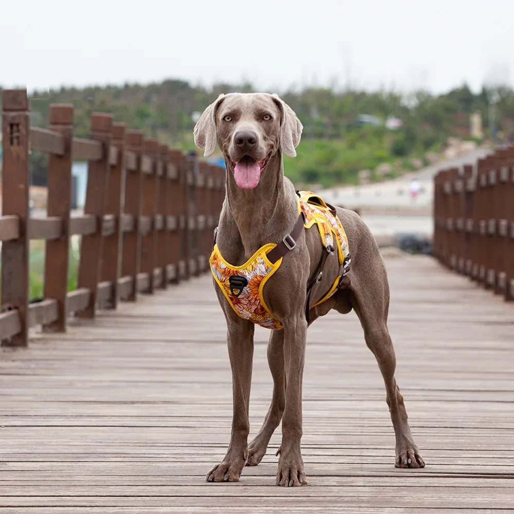 JANPET Reflective No Pull Dog Harness Adjustable Vest