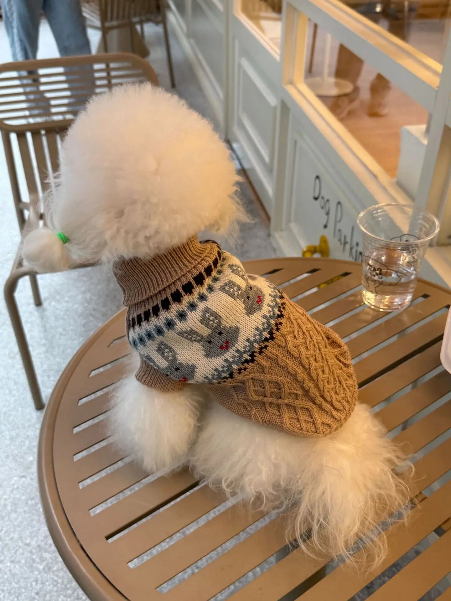 Warm Autumn and Winter Pet Sweater for Dogs and Cats