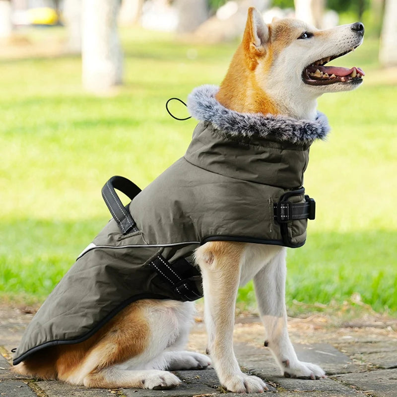 NONECN Winter Dog Jacket With Harness Waterproof Coat