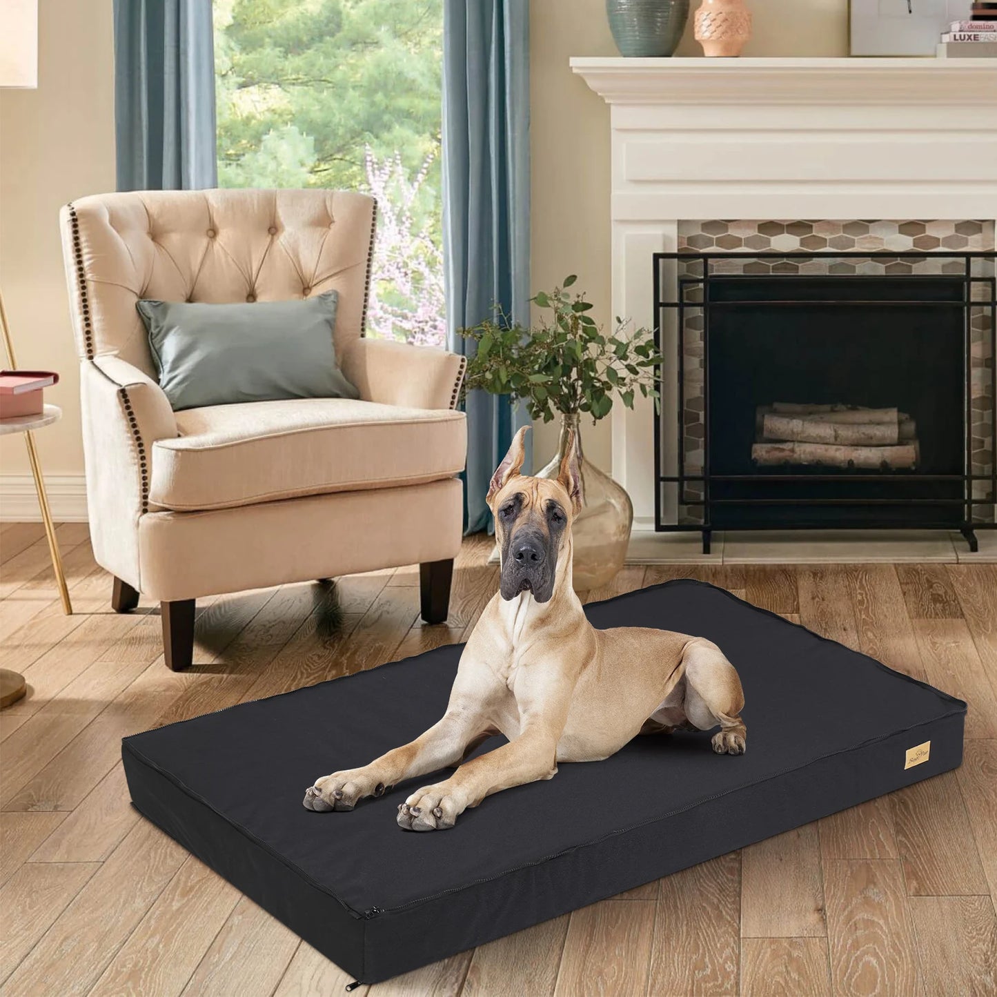 Orthopedic Memory Foam Base Dog Bed With Waterproof Washable Cover