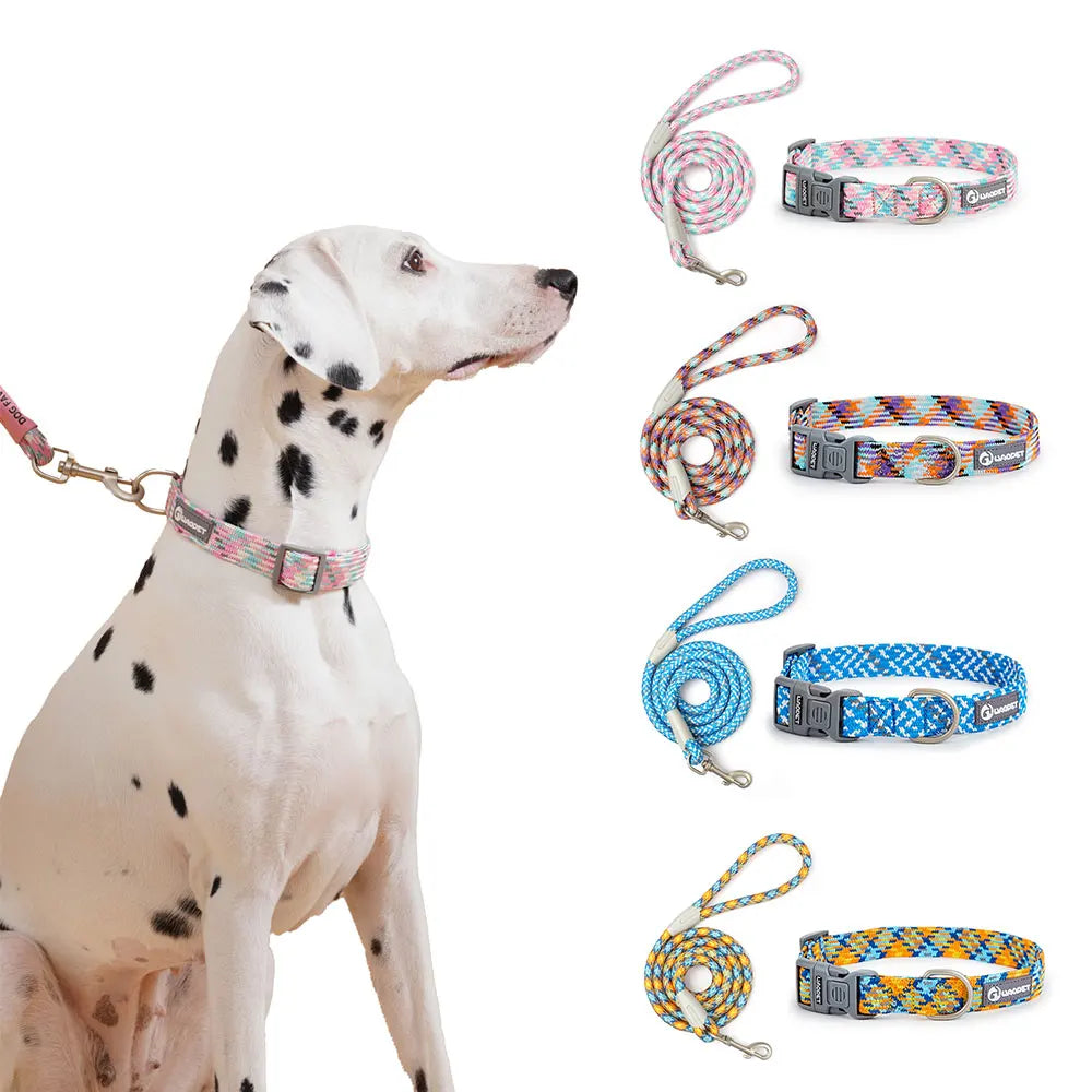 Guangdong Leashes And Collar Set For Dogs Outdoor Use