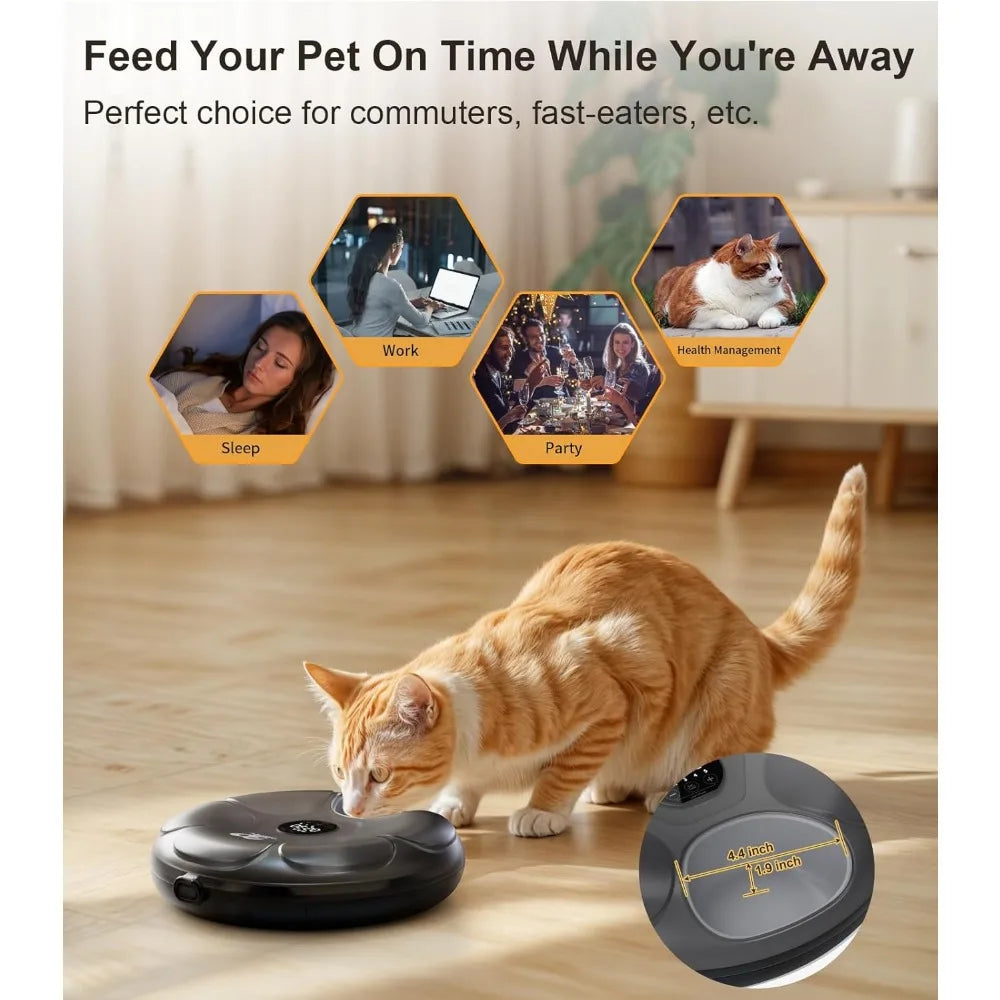 Hign-concerned Cordless Automatic Cat Feeder for Wet Food