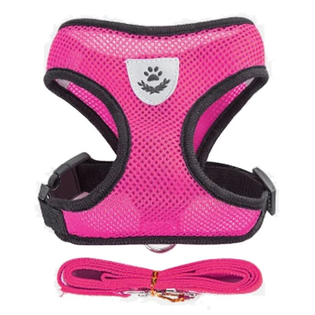 YTYINCN Dog Harness Leash for Pets
