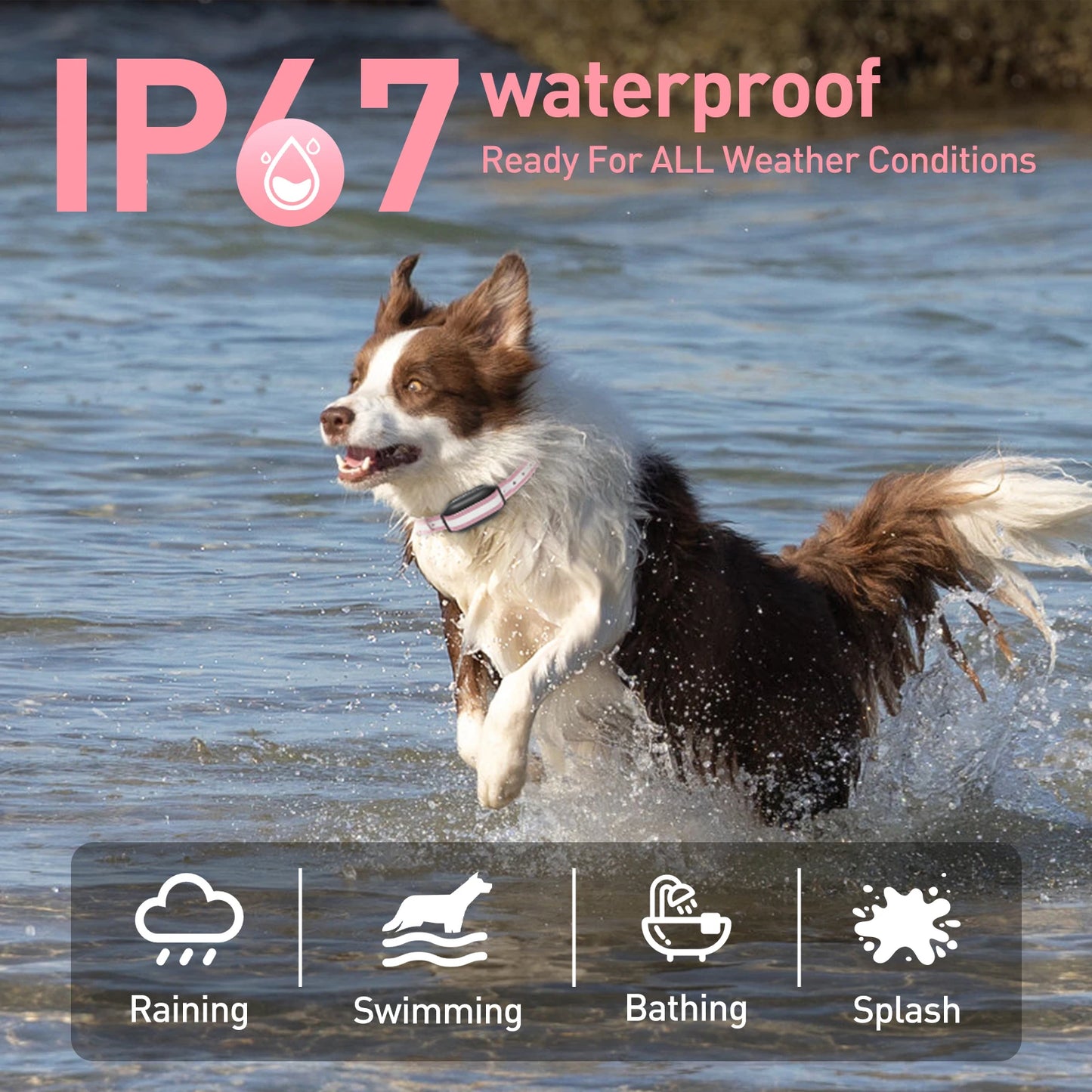 PaiPaitek 1000M Remote Dog Training Collar With 3 Modes