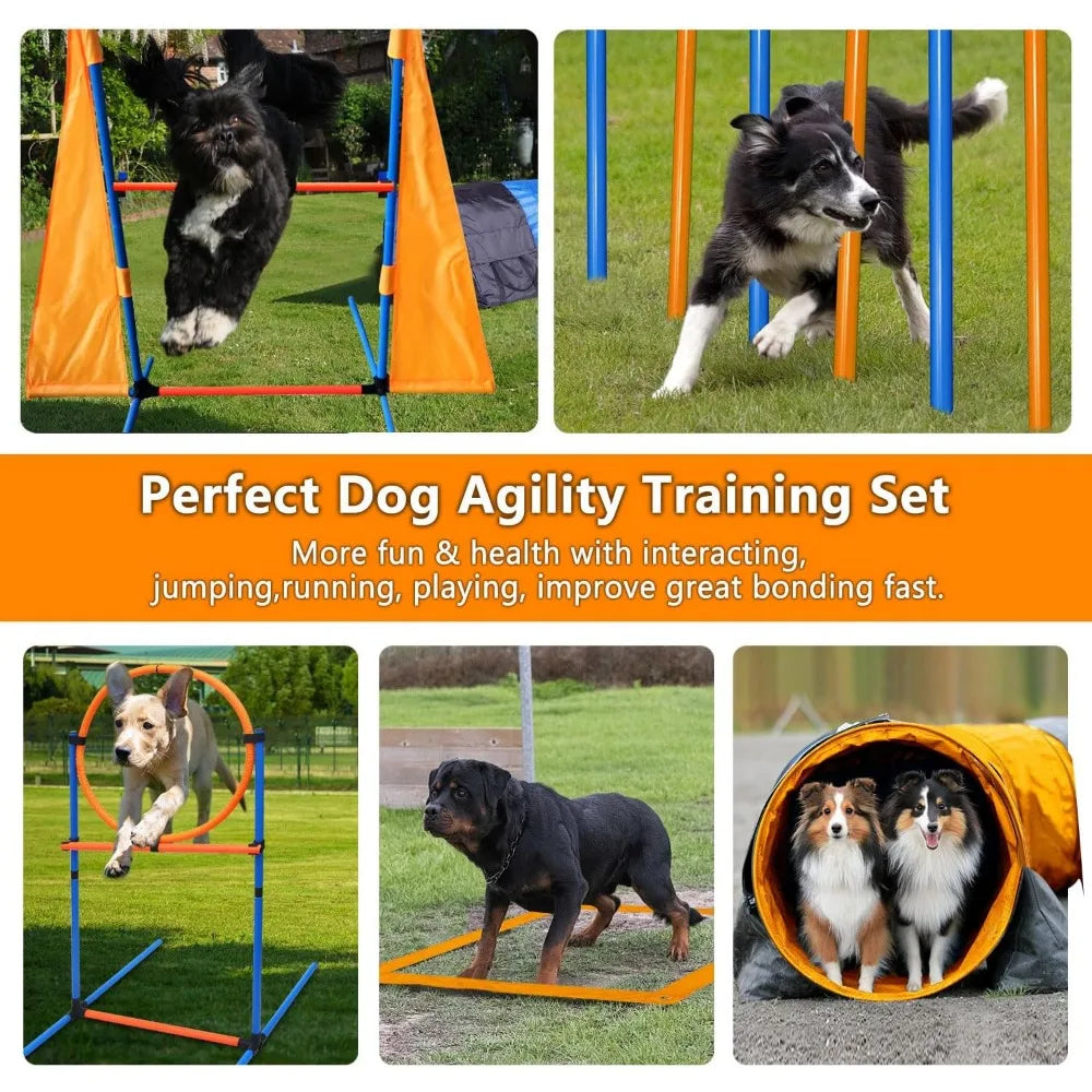 Hign-concerned Dog Agility Training Equipment Set Outdoor Indoor