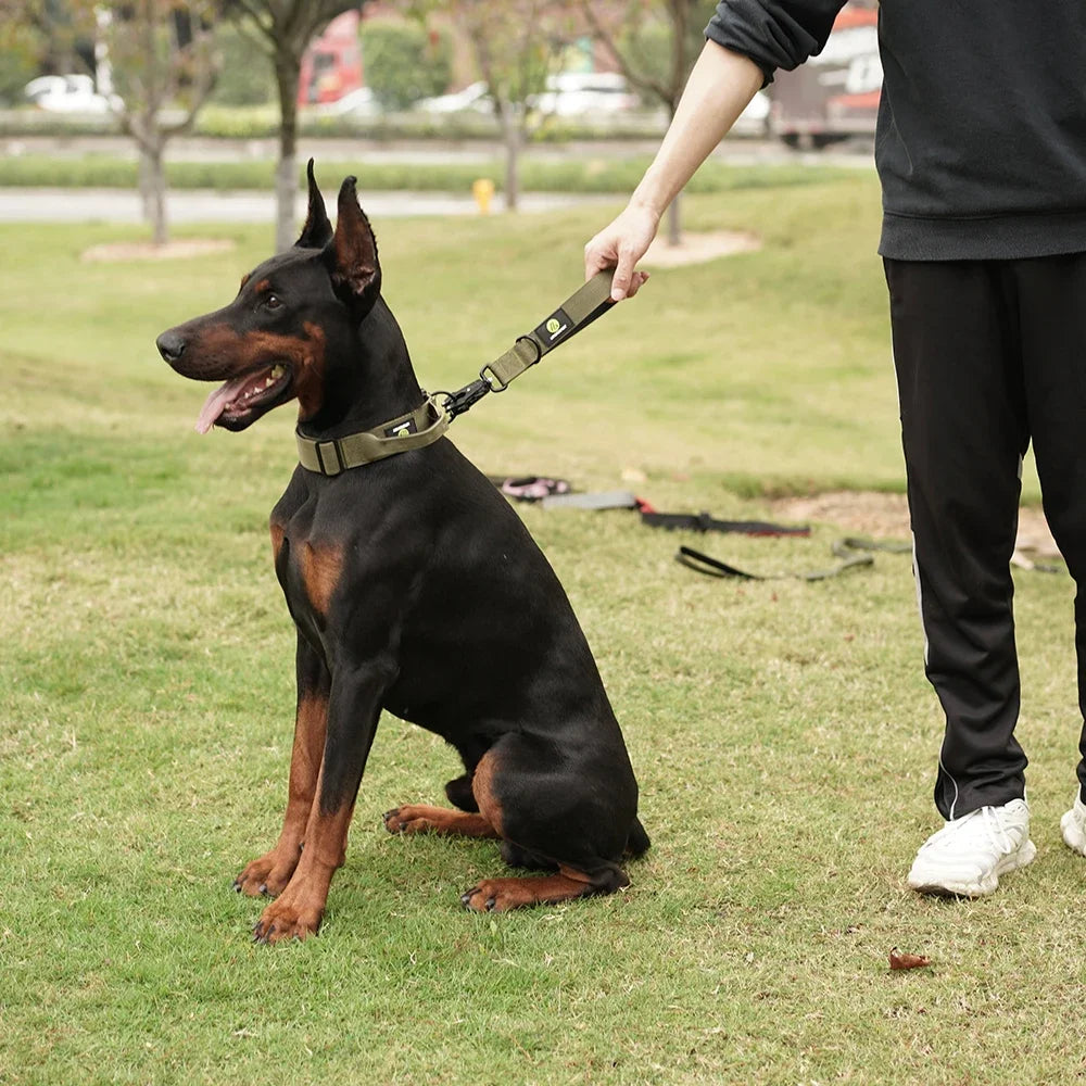 Nylon Short Dog Leash With Padded Handle Reflective Traffic Lead