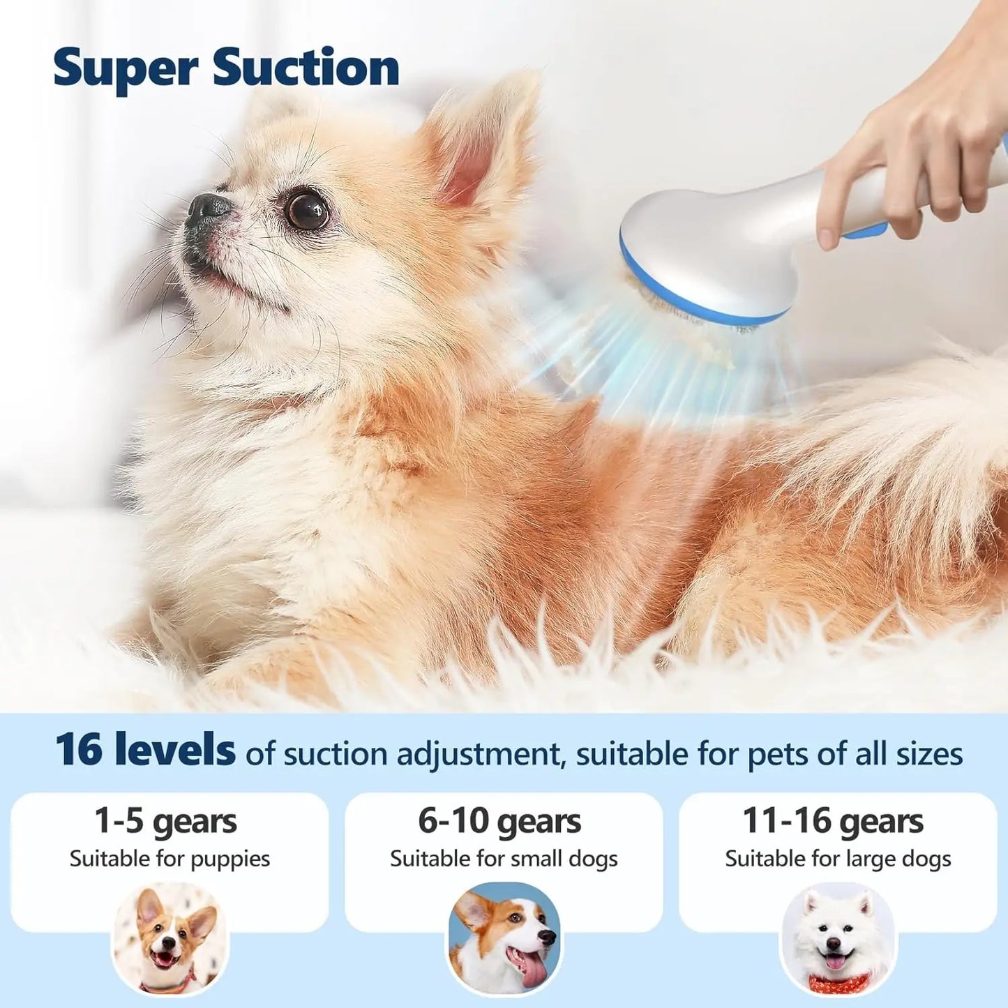Hign-concerned Pet Grooming Vacuum Kit 5-In-1 For Dogs Cats