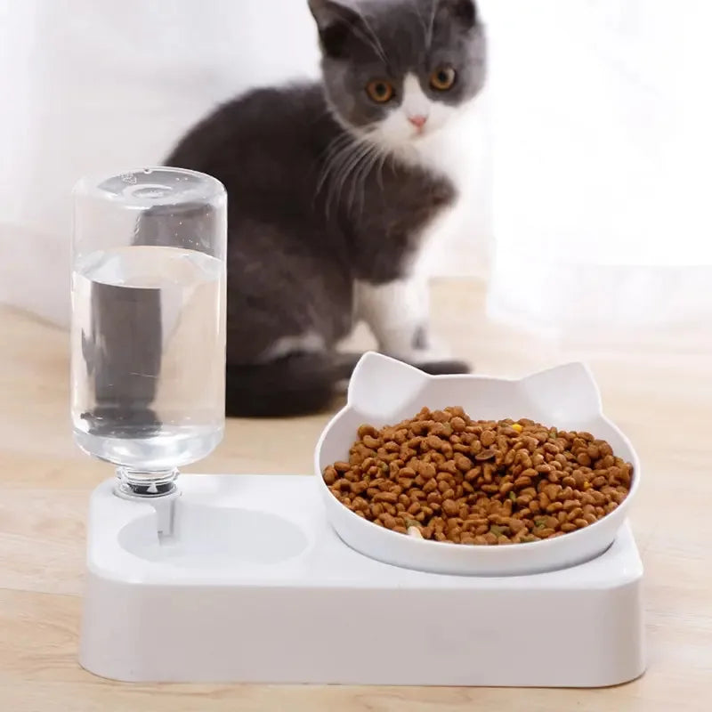 Pet Bowl With 15 Degree Tilt For Cervical Protection