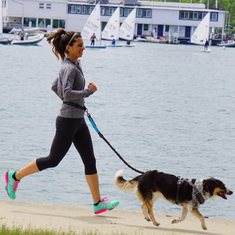 NONECN Hand Free Dog Leash Waist Belt for Walking Jogging
