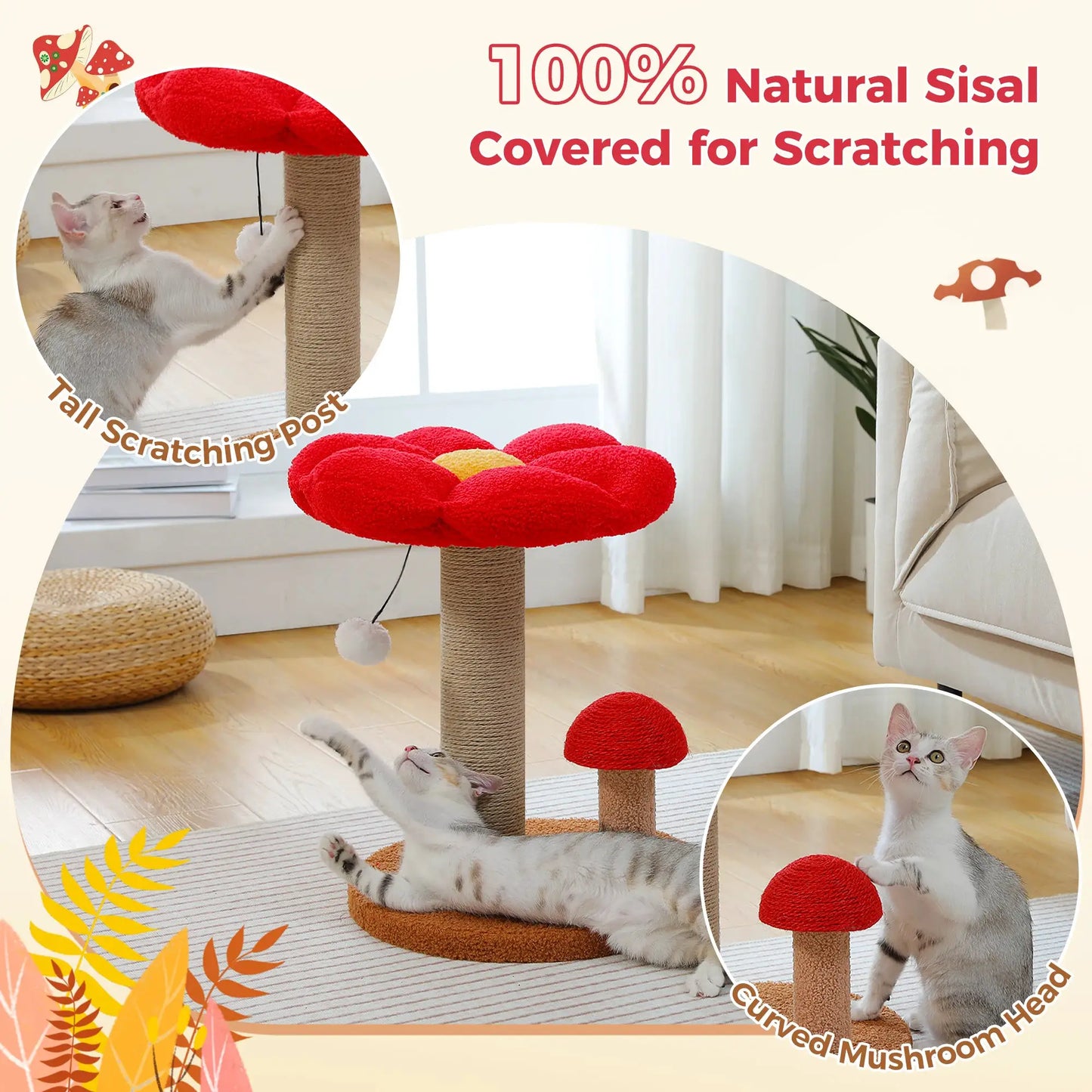 Small Cat Scratching Posts with Removable Flower Cat Bed Interactive Toy Ball Cute Mushroom Cat Scratcher for Indoor Cat Toys by Furtastic Pet Essentials
