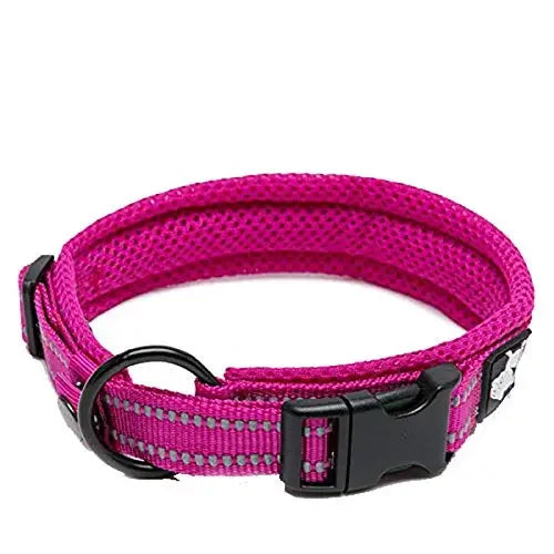 TRUELOVECN Truelove Nylon Adjustable Padded Reflective Dog Collar TLC5011