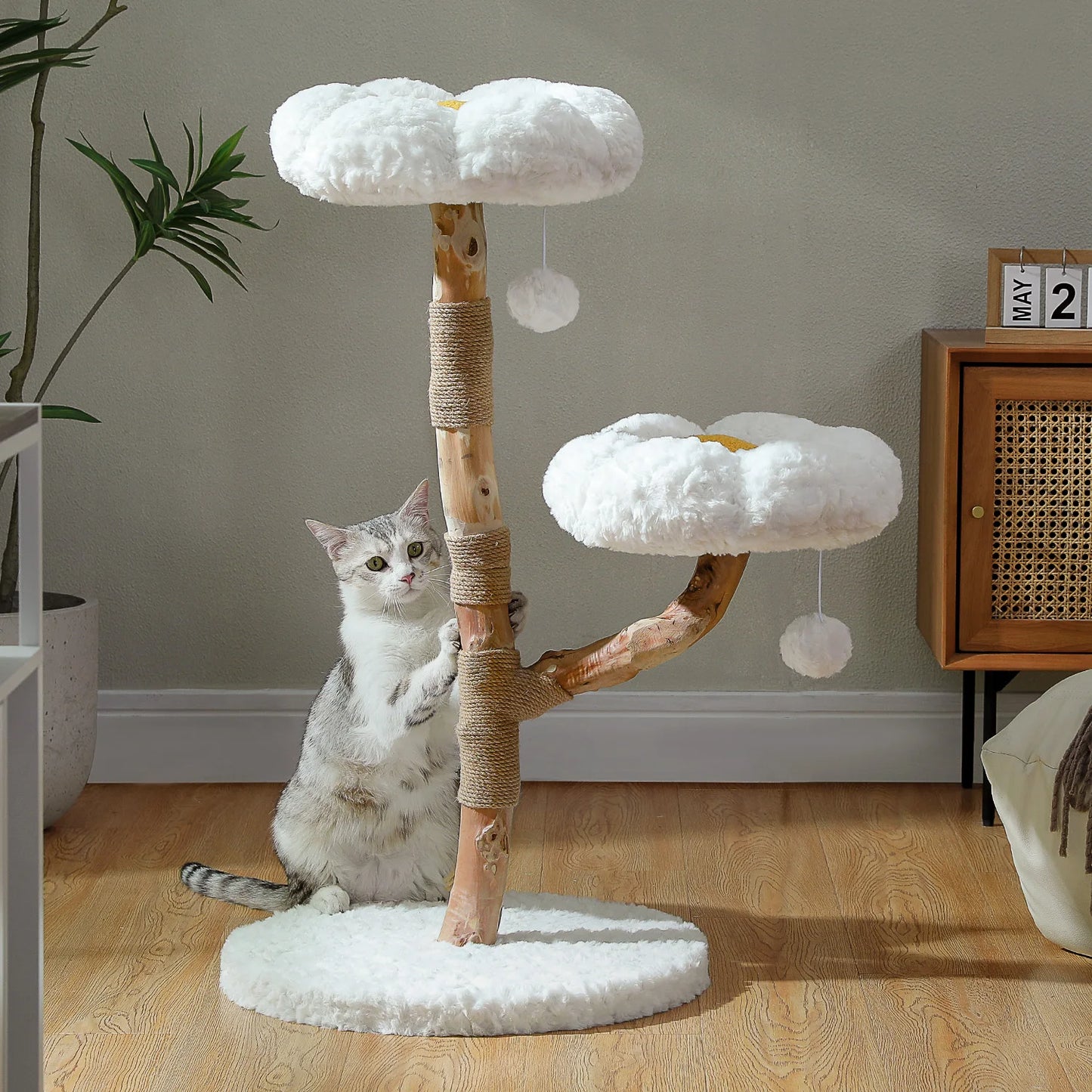 PEQULTICN Solid Wood Cat Tree Tower With Condo And Perches