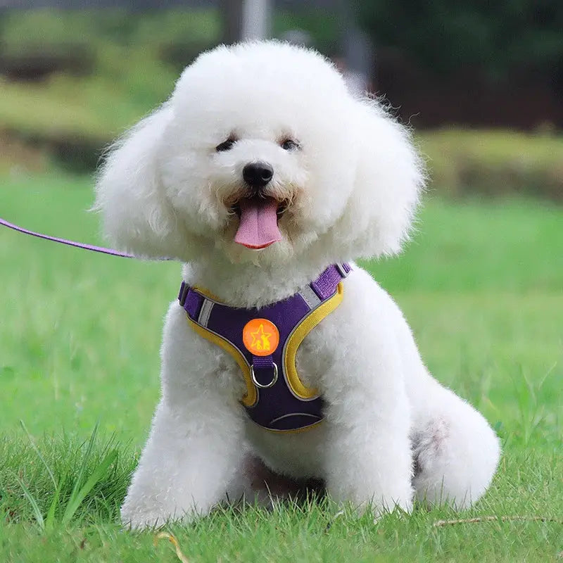 Small Medium Dogs Harness Vest Walking Traction Rope Reflective Straps, Soft Mesh Harness Breathable Pet Supplies by Furtastic Pet Essentials