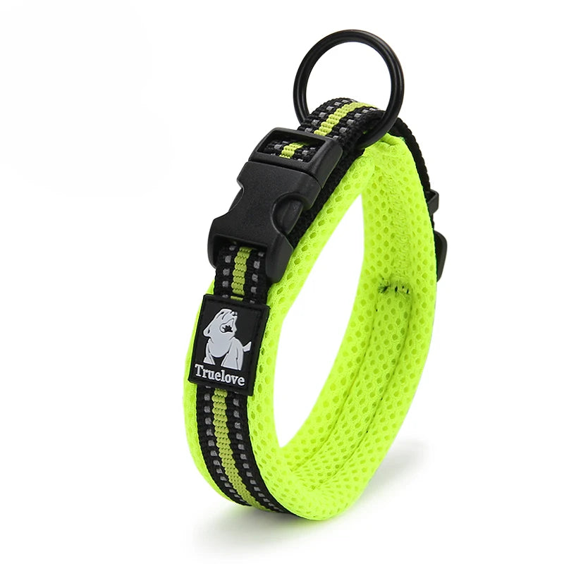 Winhyepet Nylon Dog Walking Collar Padded Comfort Breakaway