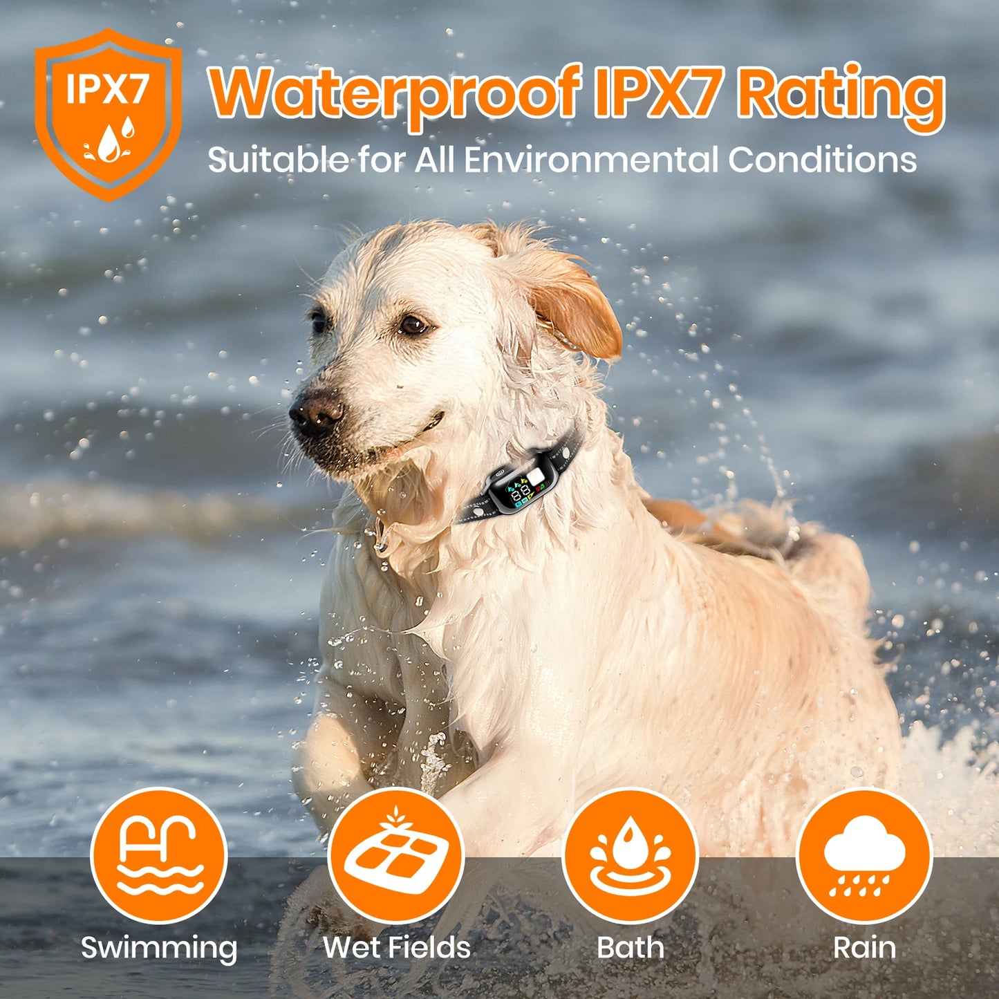 PaiPaitek 2 In 1 Dog Training Collar 3 Channel Bark Control IPX7 Waterproof