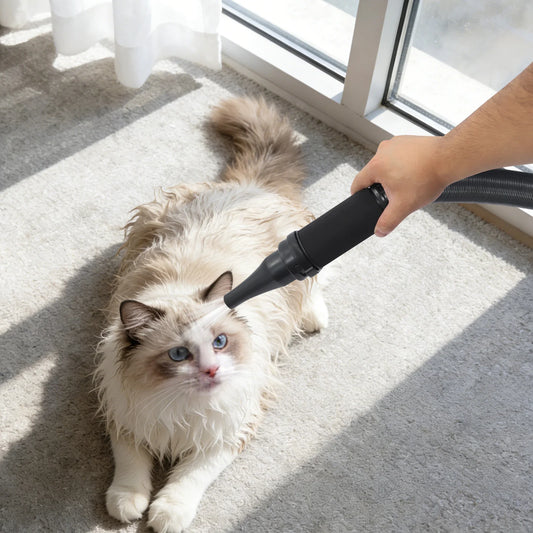 3600W Pet Grooming Hair Dryer Dual Motor Blower High Power