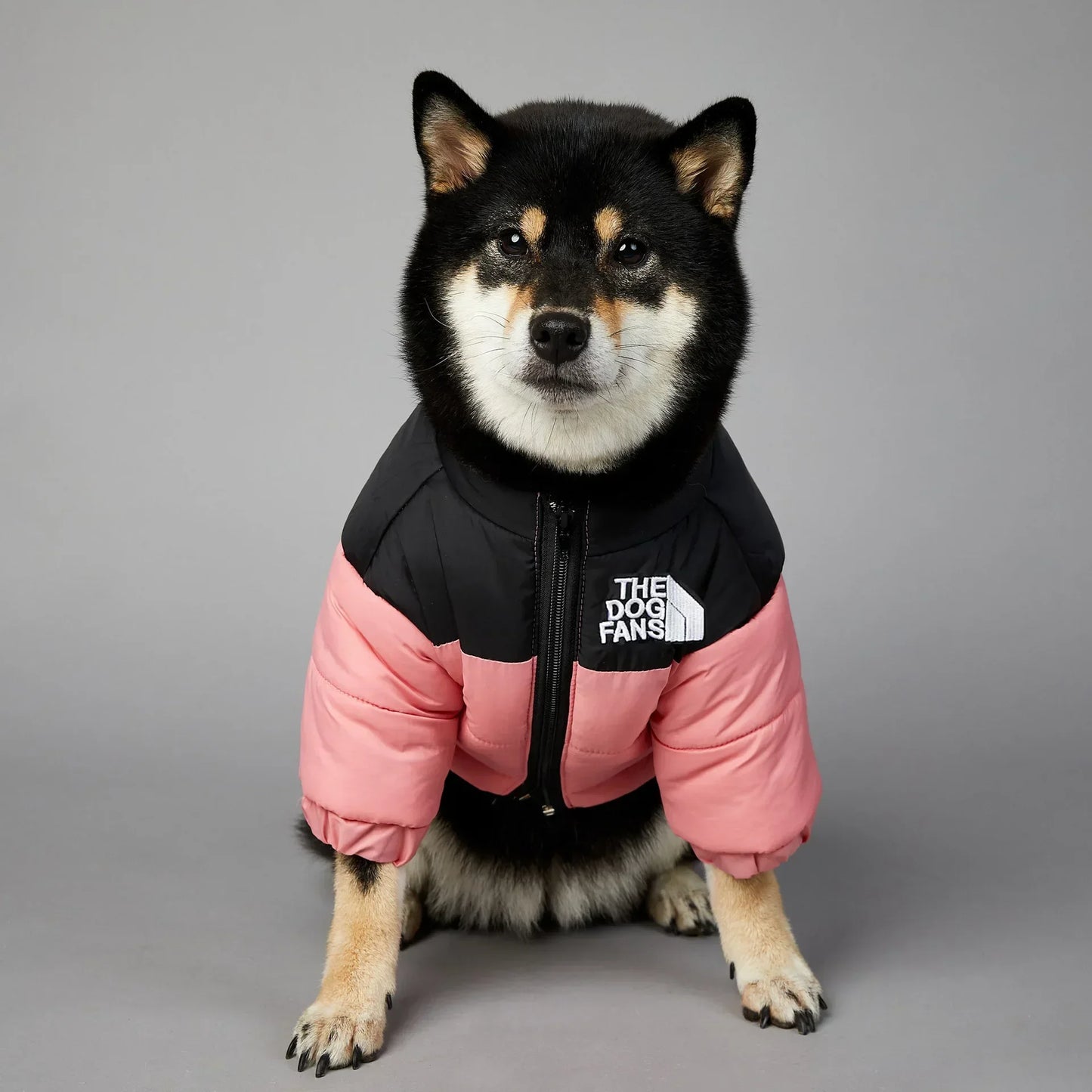 CN Zhejiang Winter Dog Down Jacket For Small Medium Dogs
