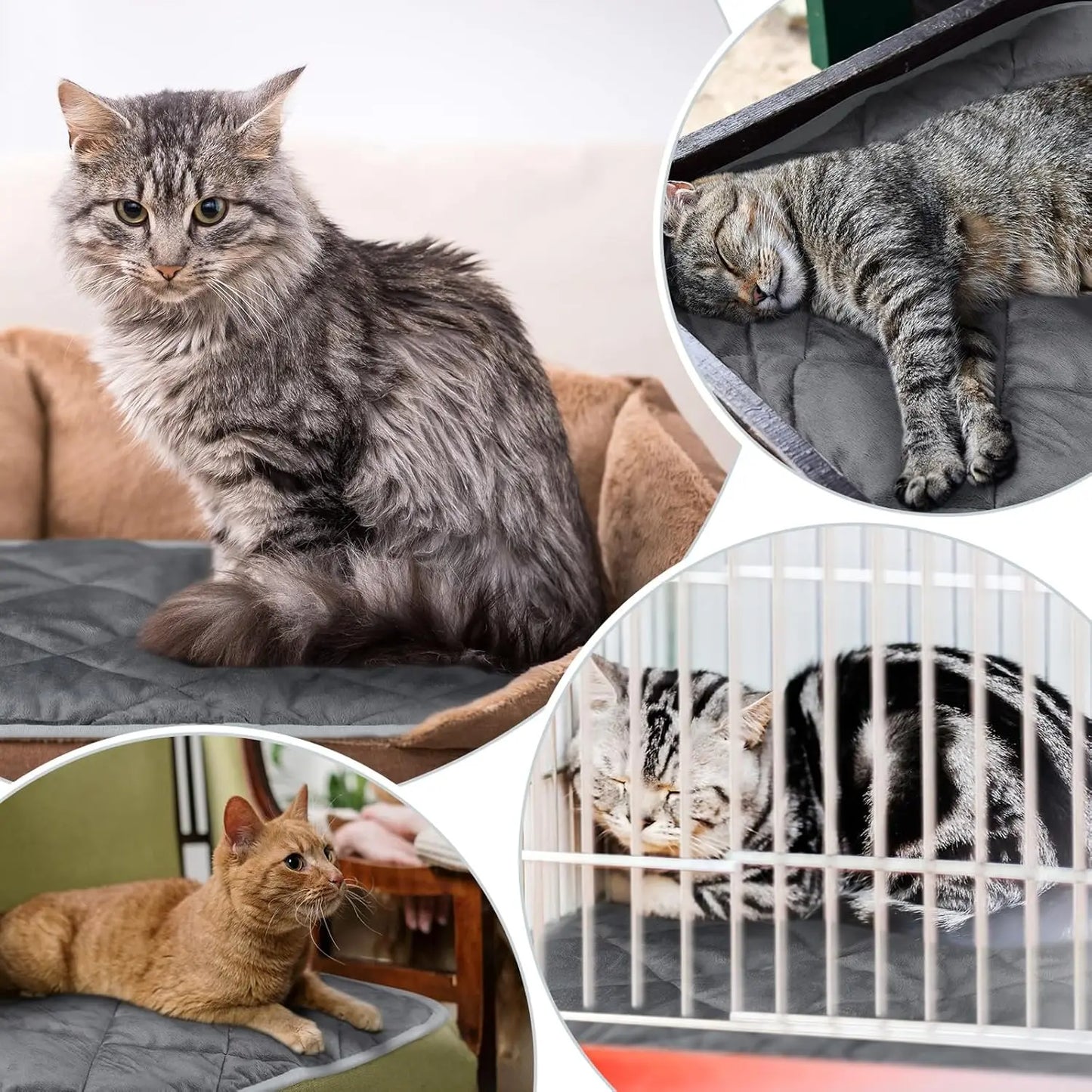 XMSJ Self Heating Cat Pad And Dog Mat Reflects Body Heat 4 Pack