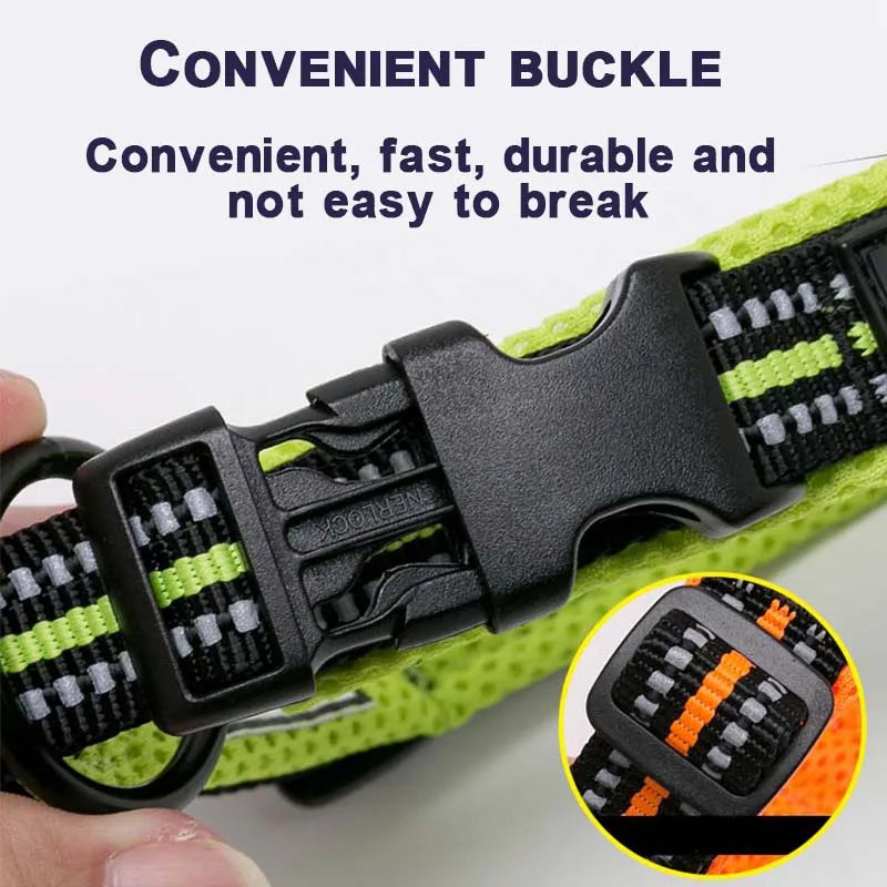 Winhyepet Nylon Dog Walking Collar Padded Comfort Breakaway