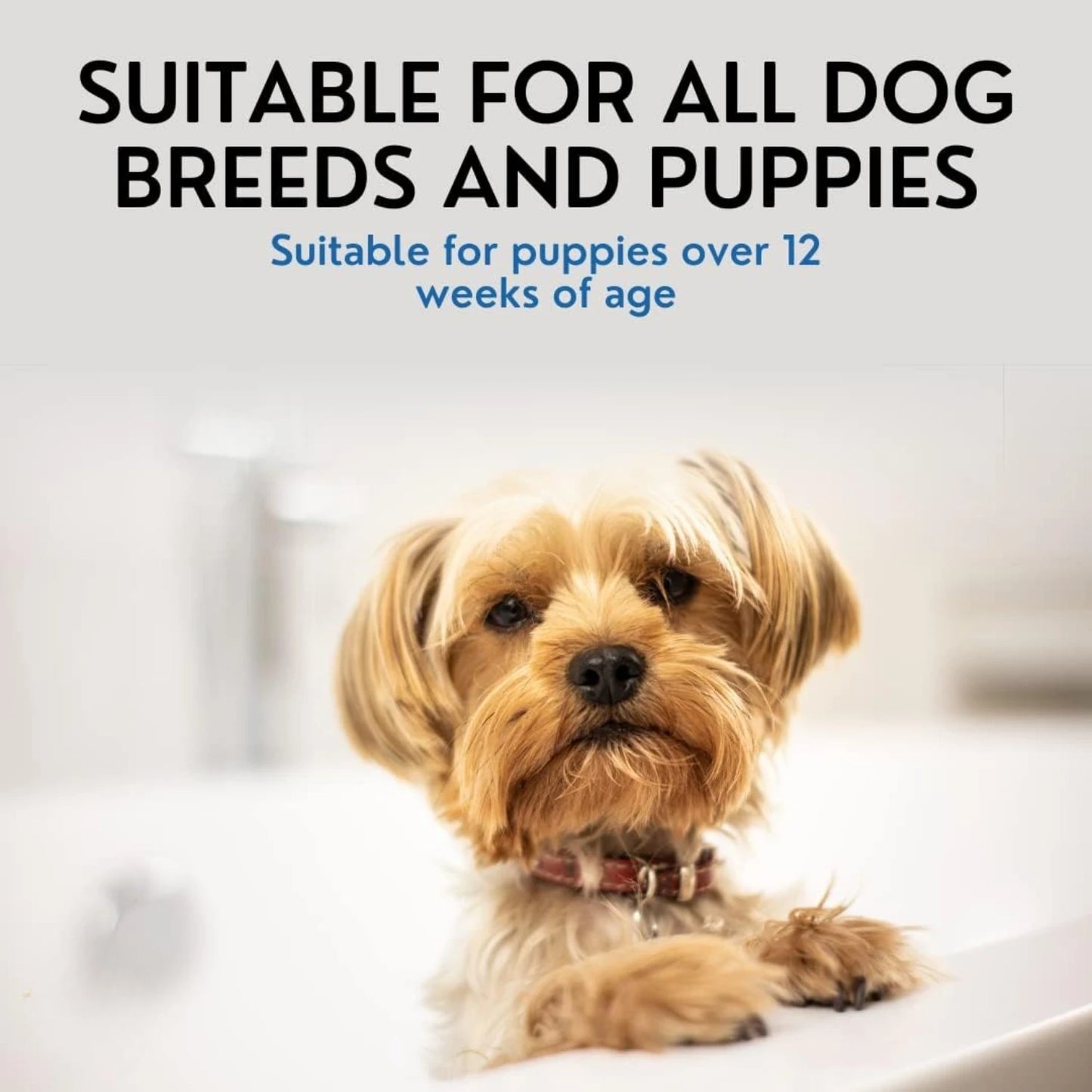 5 In 1 Dog Shampoo For Itchy And Sensitive Skin Relief