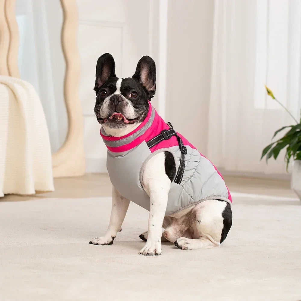CDDMPET Waterproof Dog Jacket With Harness Winter Coat For Dogs