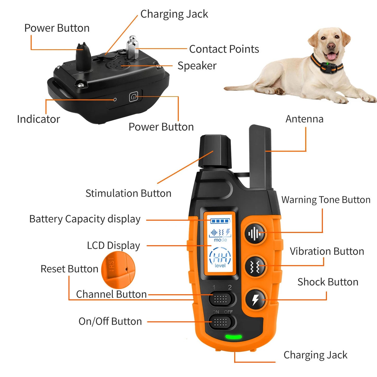 WXRPET Electric Dog Training Collar With Remote Control Waterproof