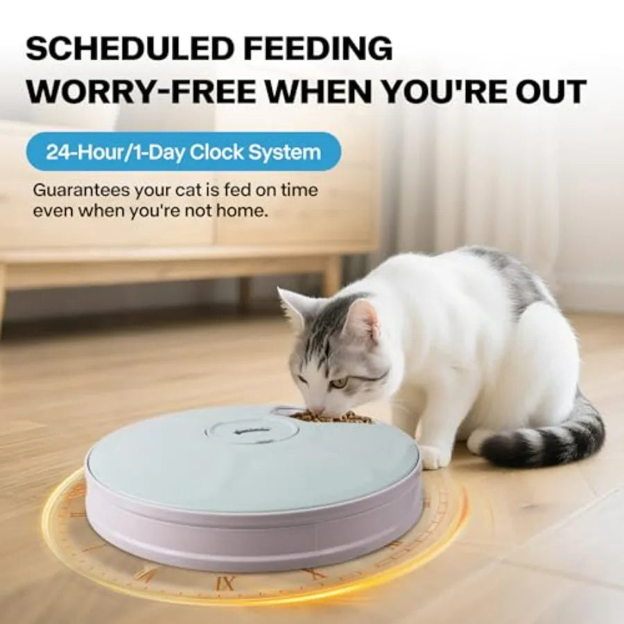 Hign-concerned 6 Meal Programmable Pet Food Dispenser With Timer