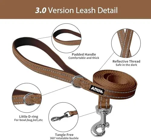 YTYIN Adjustable Dog Harness And Leash Set Padded Vest Easy Fit