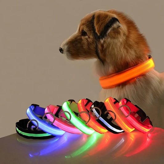 Nylon LED Night Safety Dog Leash Glow In Dark Collar