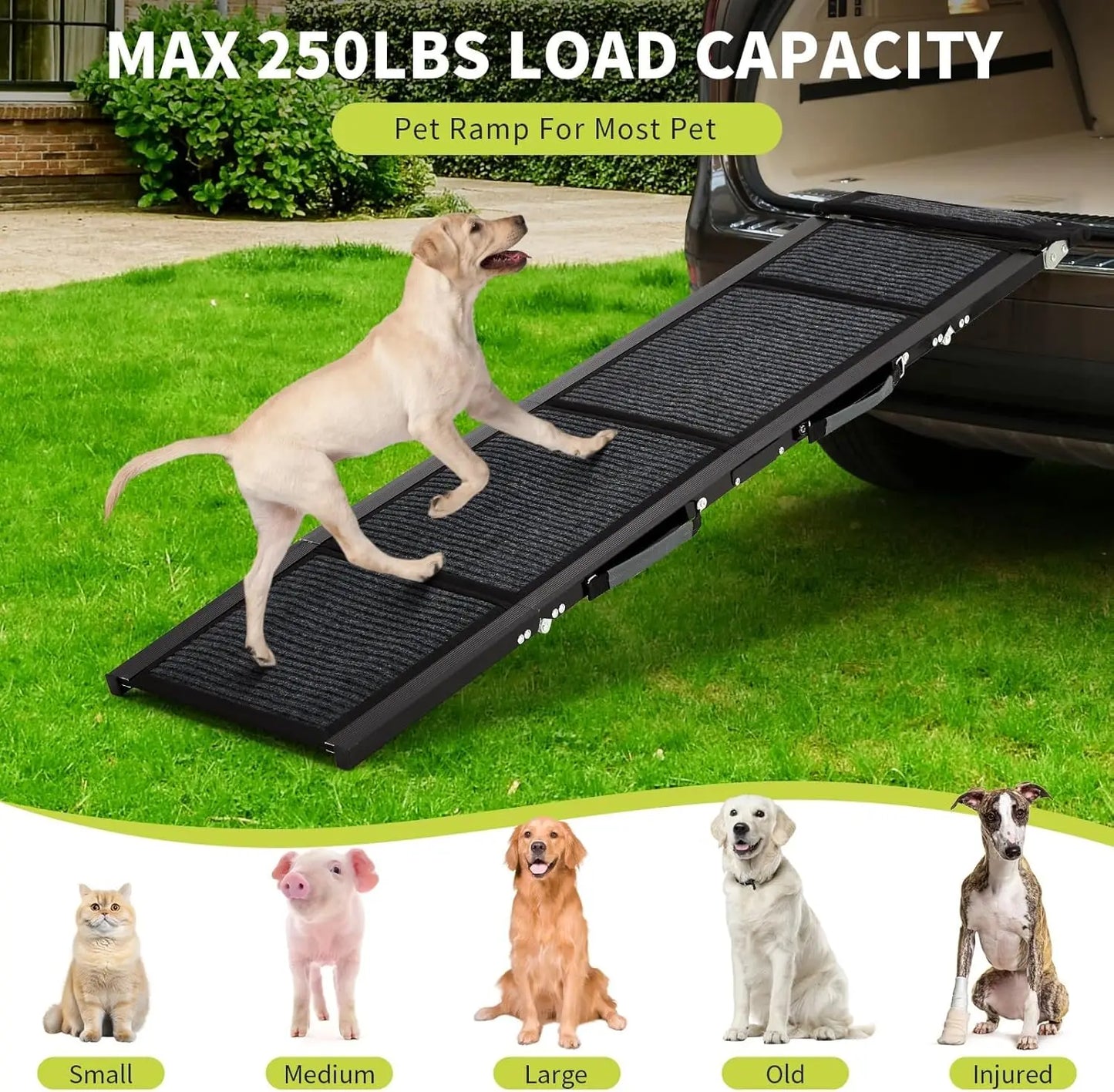 HiMISSDog Dog Ramp For Car Portable Folding Pet Steps