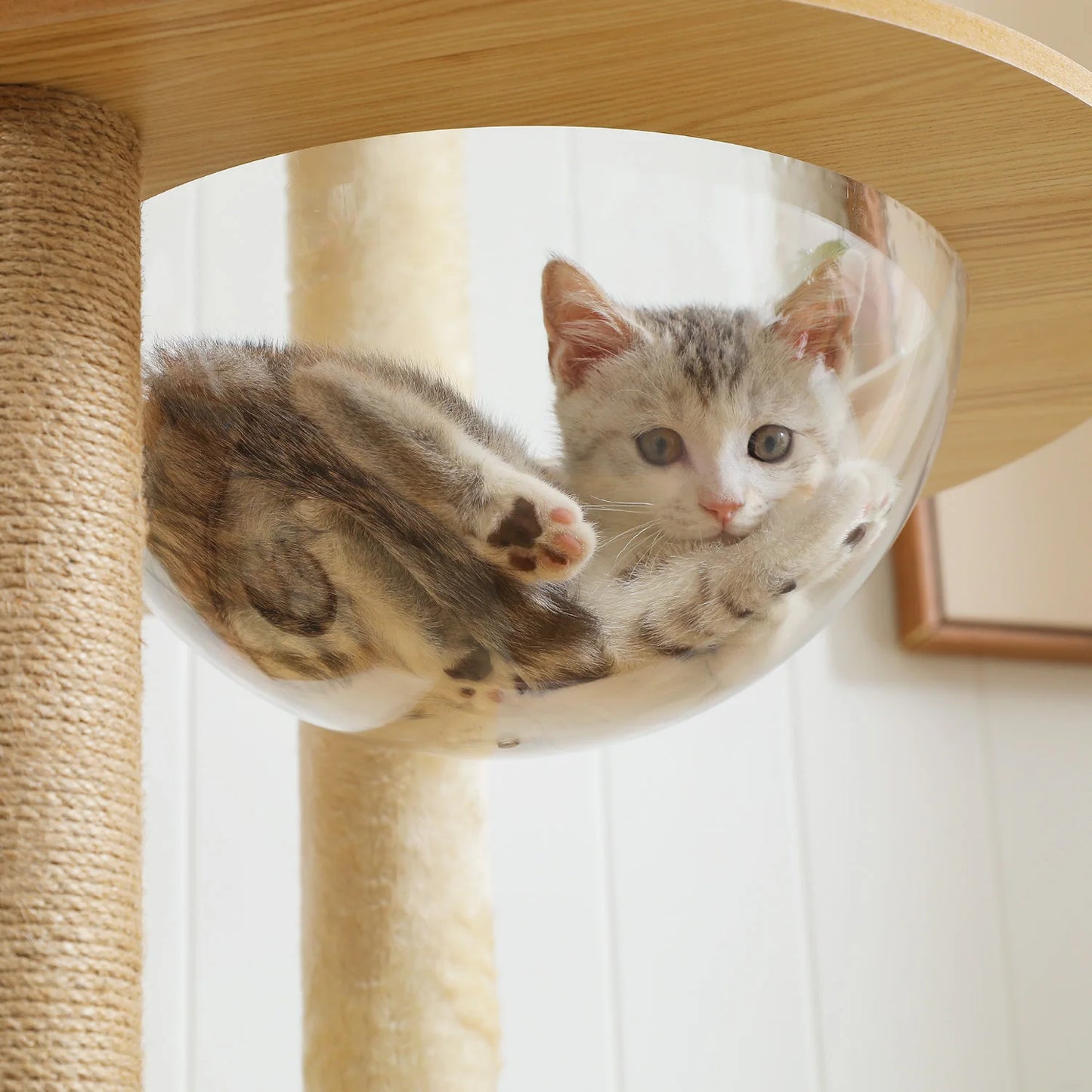 PAWZ Road Multi-Level Cat Tree Tower With Scratching Posts Durable