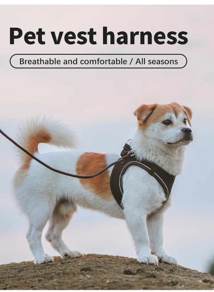 Small Combination Harness Leash Set Reflective Adjustable For Small Dogs