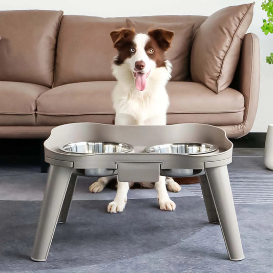 High Concerned Stainless Steel Elevated Pet Bowl For Dogs