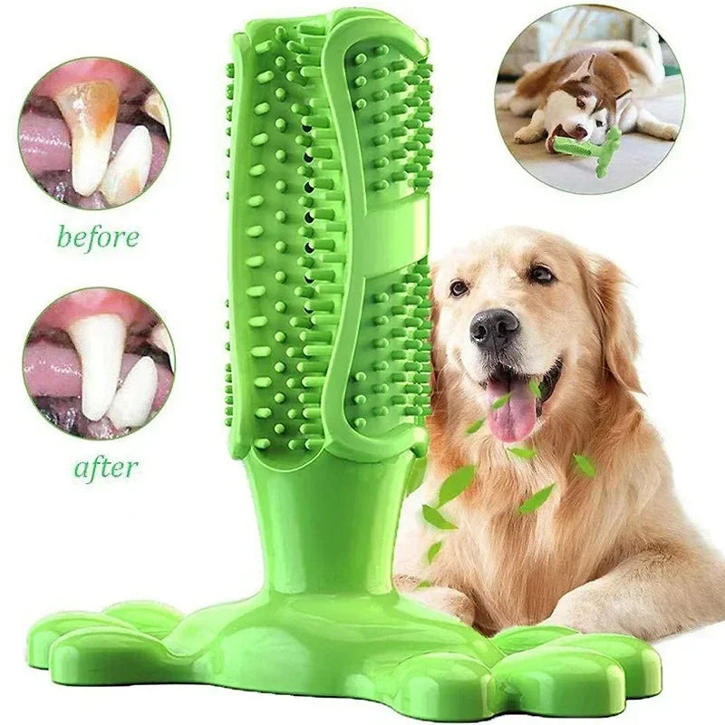 Pet Dog Cactus Interactive Rubber Chew Toy Dental Toothbrush Dispenser