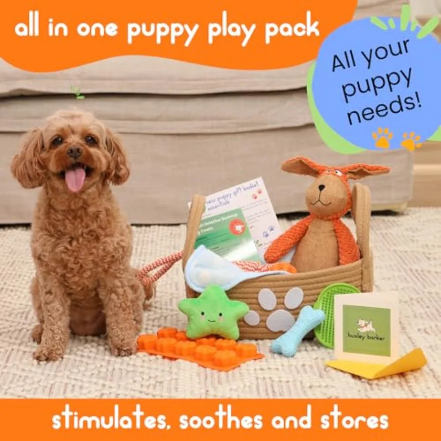 Puppy Starter Kit With Chew Toys And Training Essentials